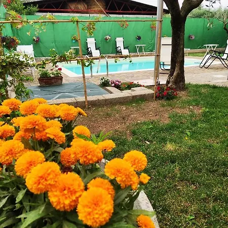 Bellini 公寓 巴多利诺