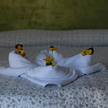 Bellini Apartament Bardolino